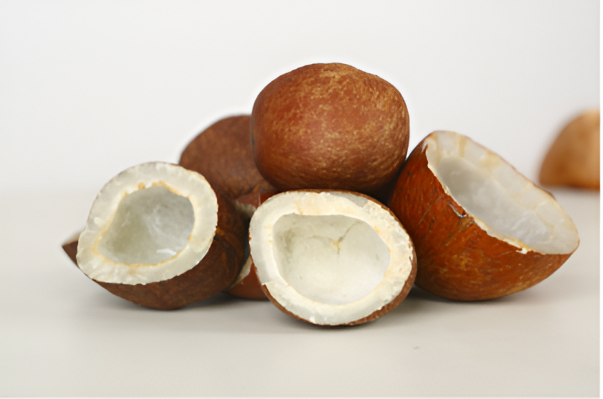 Dry Coconut